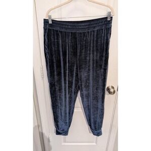 Fabletics‎ X Vanessa Hudgens Womens Luxe Daria Velour Drawstring Joggers size XL